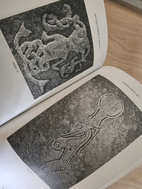 Photographs Pict Stone Carvings